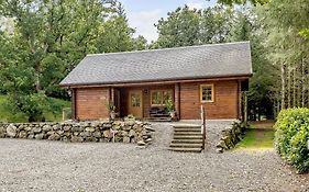 Larch - Uk31134